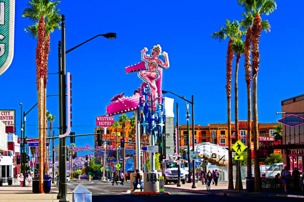 DG百家樂破解-技巧介紹-數據統計分析